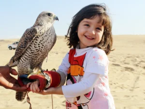 <img src=" image.jpg" alt="falcon with cute girl">