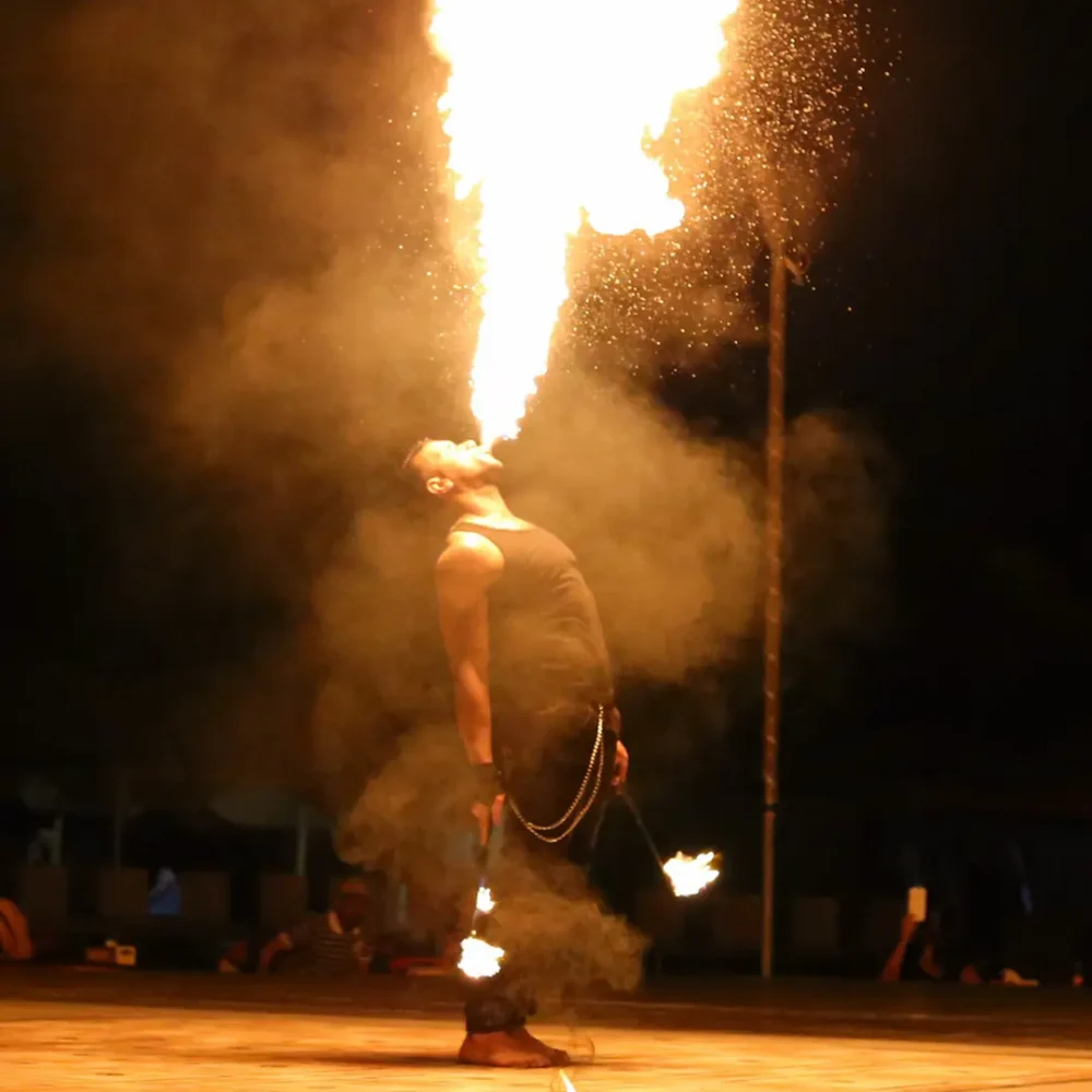 Fire Show Artist